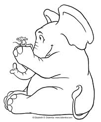 Elephant 10